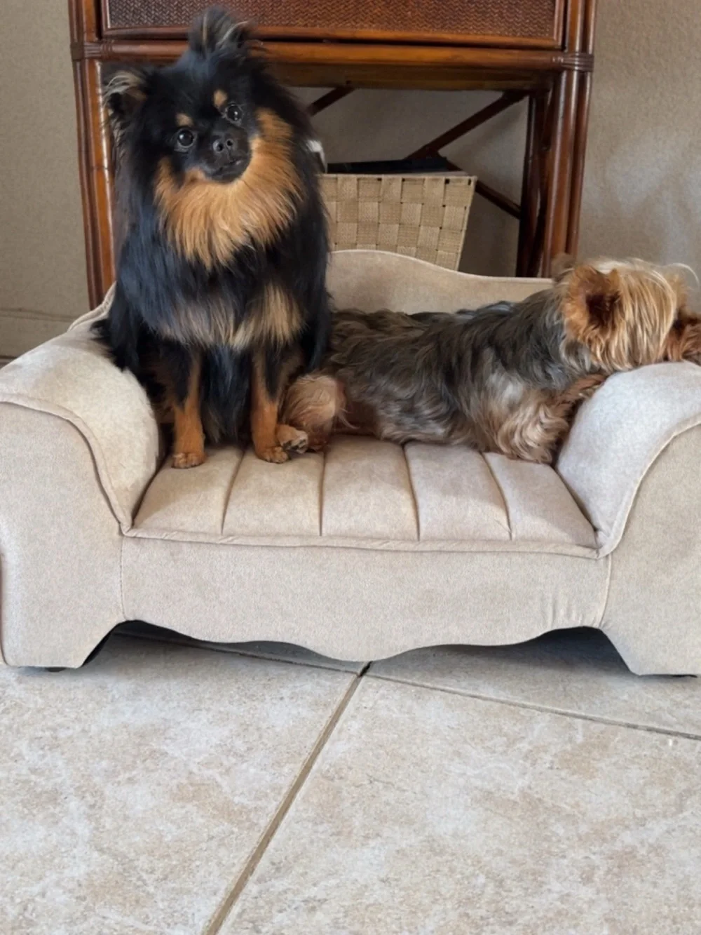 Stunning velvet cream pet sofa armchair bed Yorkie Pom /custom
